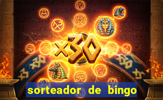 sorteador de bingo 90 bolas online